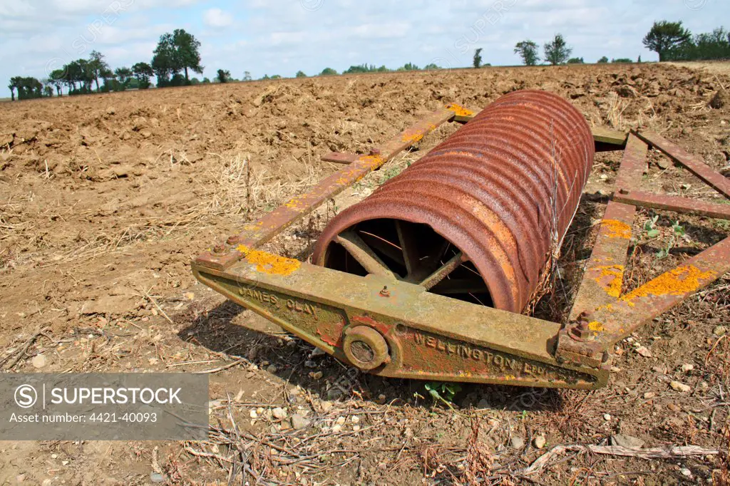 Rollers in cultivated arable field, Old Newton, Suffolk, England, august