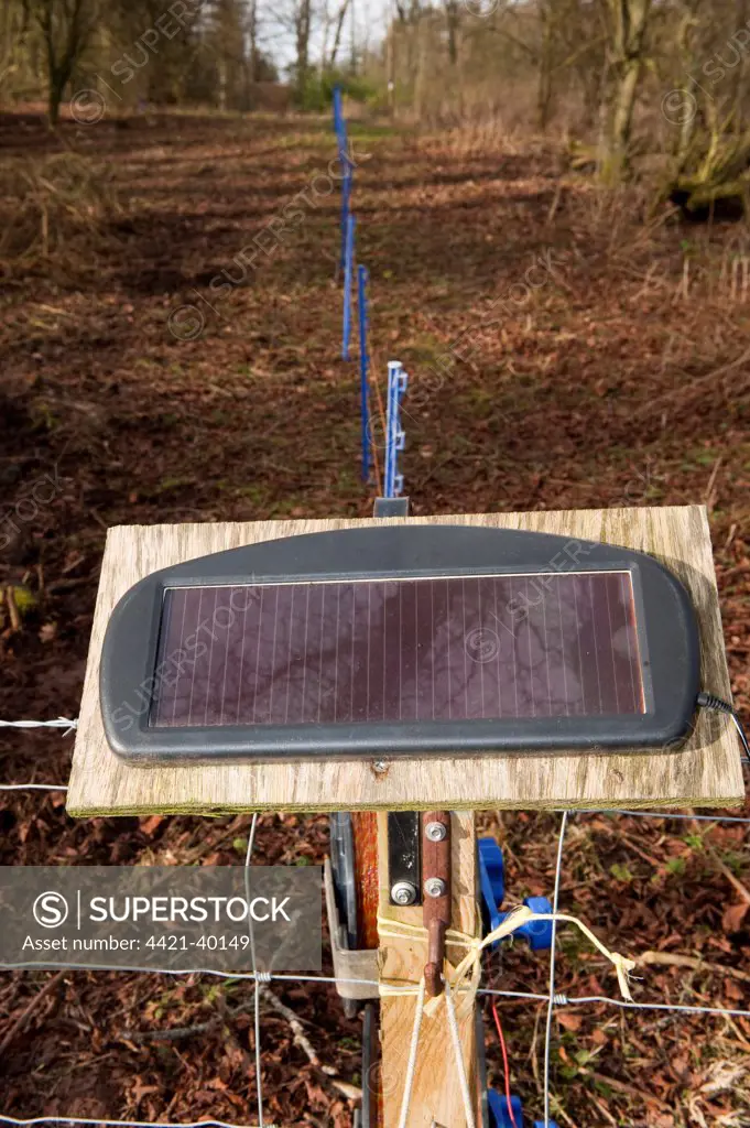 Solar powered electric fencing, used to contain livestock, England, winter