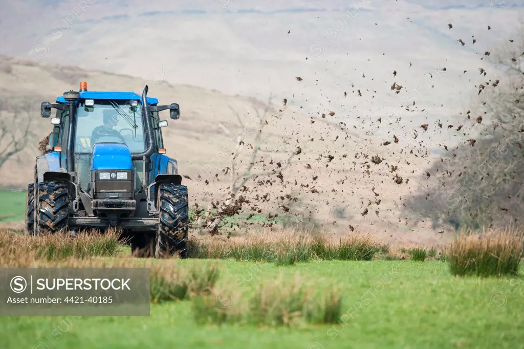 New Holland TS115 tractor with muckspreader, spreading farmyard manure on grassland, Whitewell, Lancashire, England, march