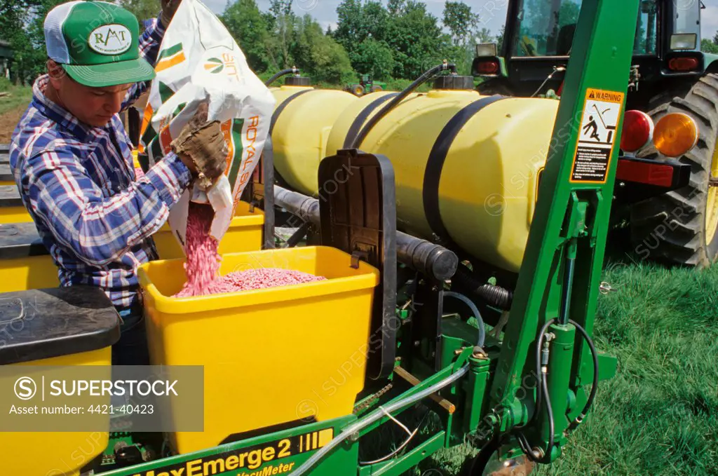 Farmer loading green bean seeds into seed drill hopper, St. Paul, Oregon, U.S.A.