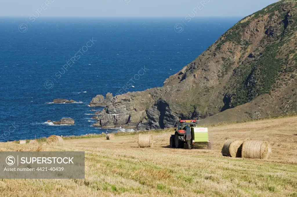 Tractor with baler, baling straw into round bales, in clifftop stubble field after harvest, above Gardenstown, Aberdeenshire, Scotland