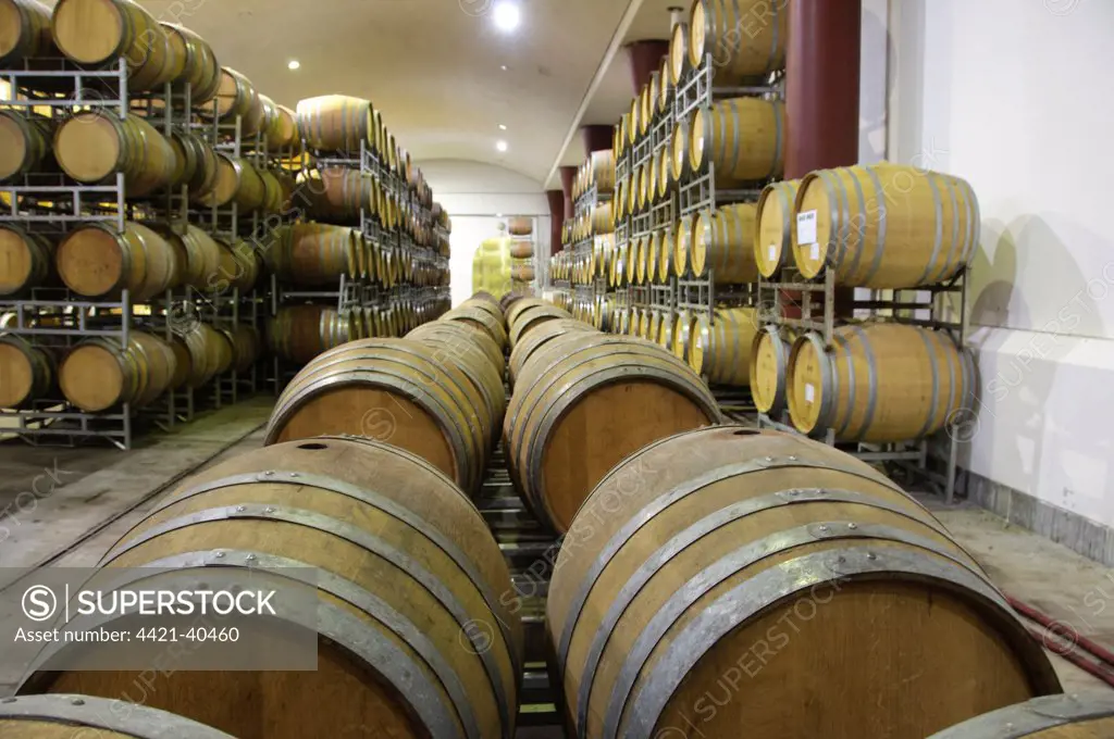 Wooden wine casks in cellar, Boschendal Vineyard, Franschoek, Western Cape, South Africa