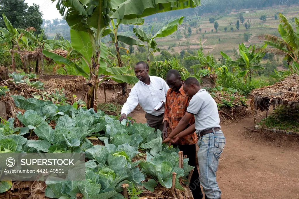Farmer and local advisors standing at keyhole garden, with compost pile in middle to allow good vegetable growth, Rwanda