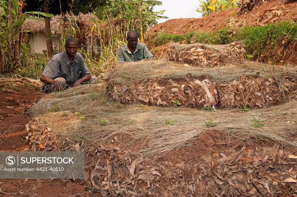 Farmer and local aid worker building keyhole vegetable garden, Rwanda