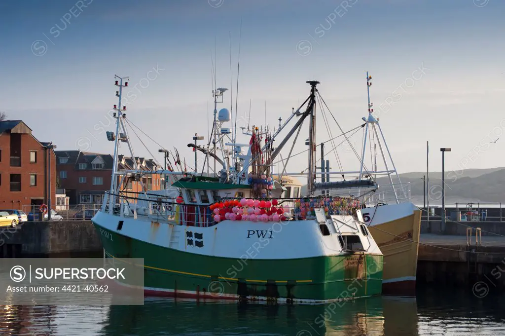 Fishing boats in harbour of seaside town, Padstow, Cornwall, England, april