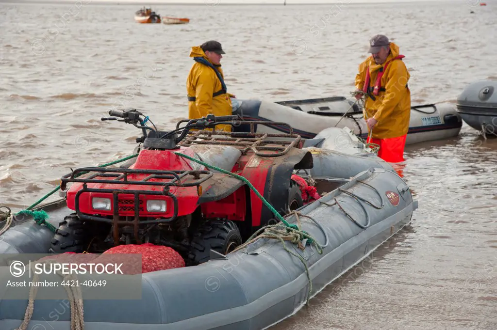 Licensed cockle pickers with quad bike in inflatable boat, unloading after picking from cockle beds, Foulnaze Bank, between Lytham and Southport, Ribble Estuary, Lancashire, England, november