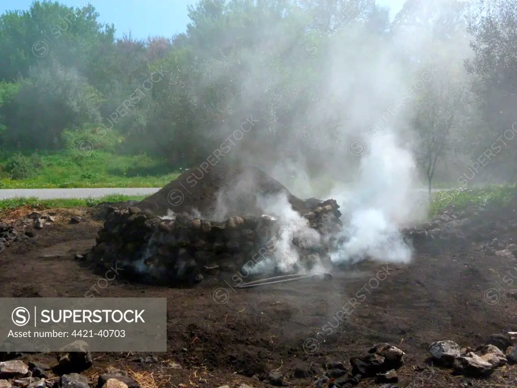 Traditional charcoal production, burning olive logs to produce charcoal, Greece, april