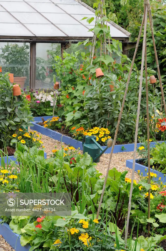 Small potager garden with mixed flowers and vegetables planted in raised beds, Norfolk, England, july