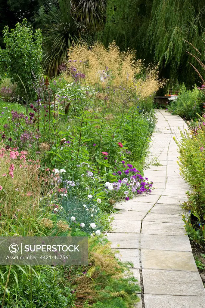 Garden path and flowerbeds, with mixed flowers and ornamental grasses, Norfolk, England, july