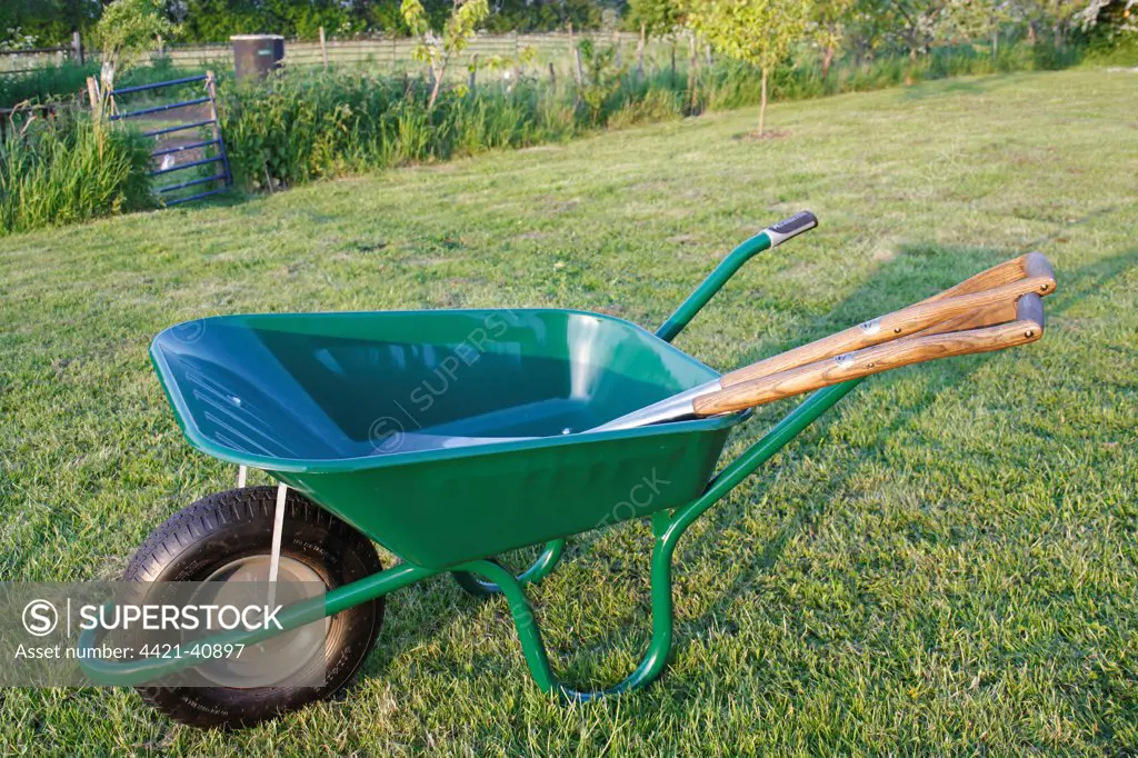 Wheelbarrow with spade and fork on garden lawn, Bacton, Suffolk, England, may