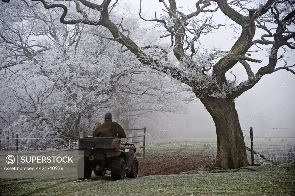 Gamekeeper riding on quad bike, in farmland with frost and fog, Whitewell, Lancashire, England, winter