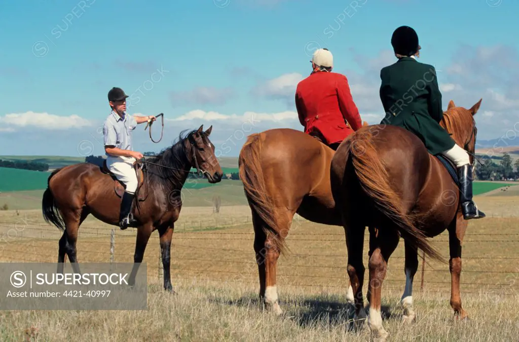 Master of Hunt and wife with local landowner, waiting on horseback during harrier hunt, hunting for hares or foxes (introduced species), Starborough Hunt, New Zealand