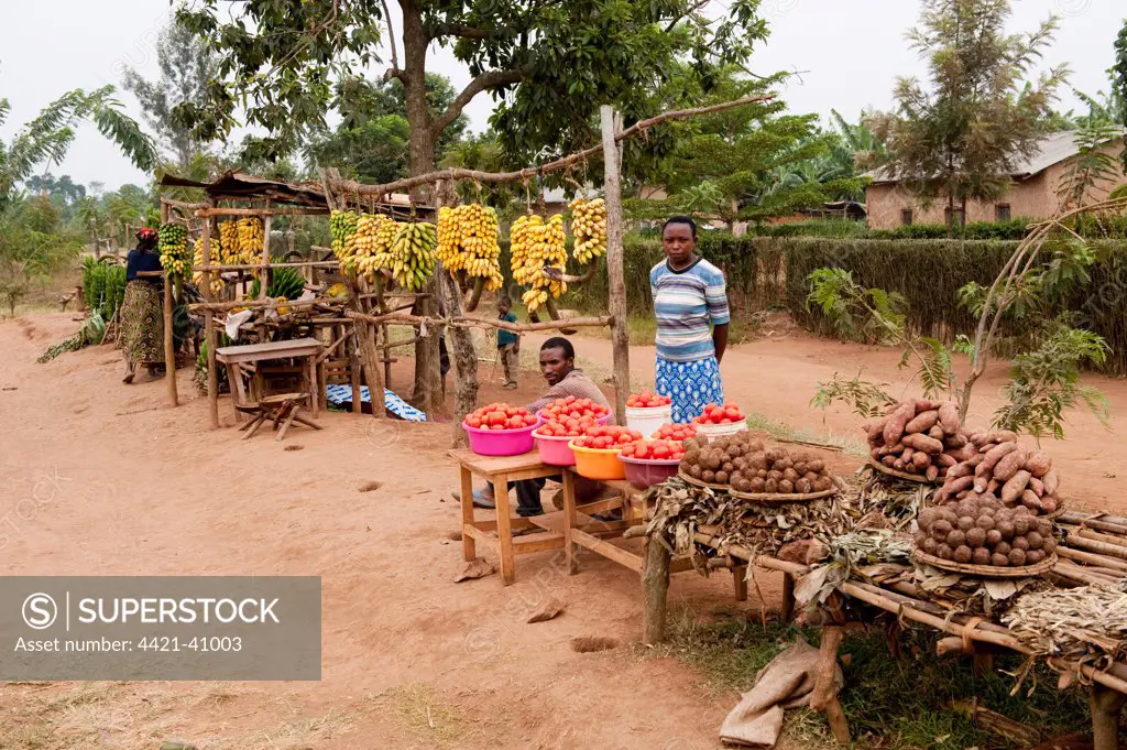 Stalls selling fruit and vegetables at roadside, Rwanda