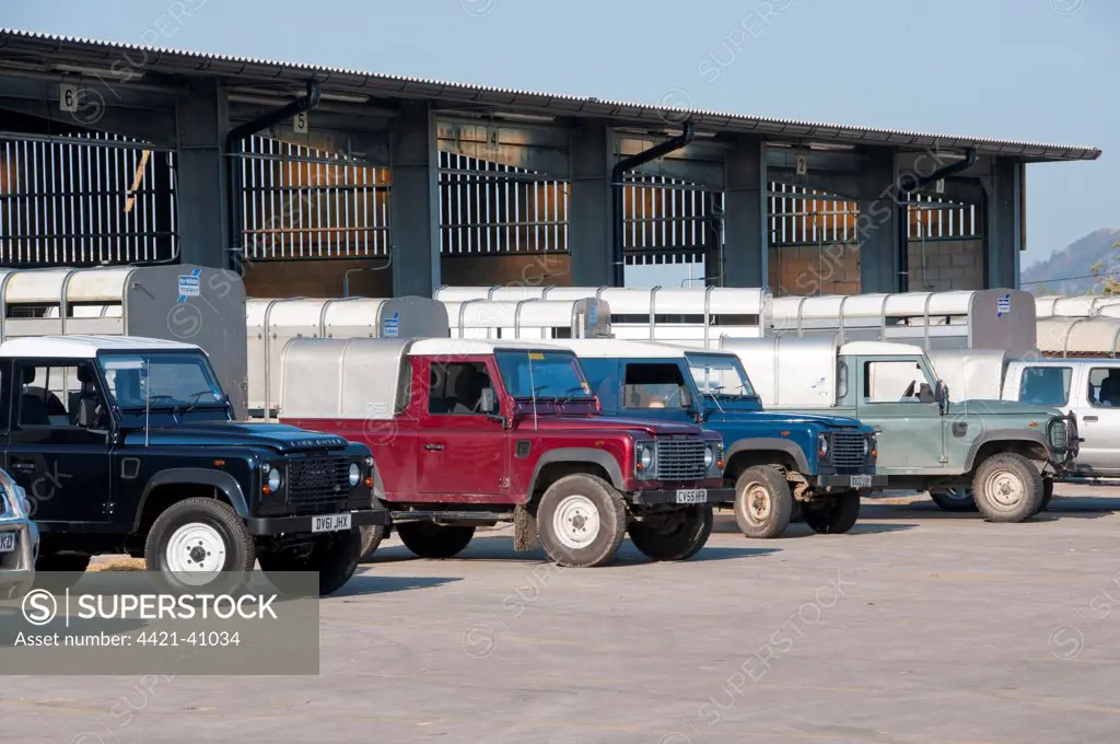 Land Rover 4x4 vehicles and livestock trailers at livestock market, Welshpool Livestock Market, Powys, Wales, september