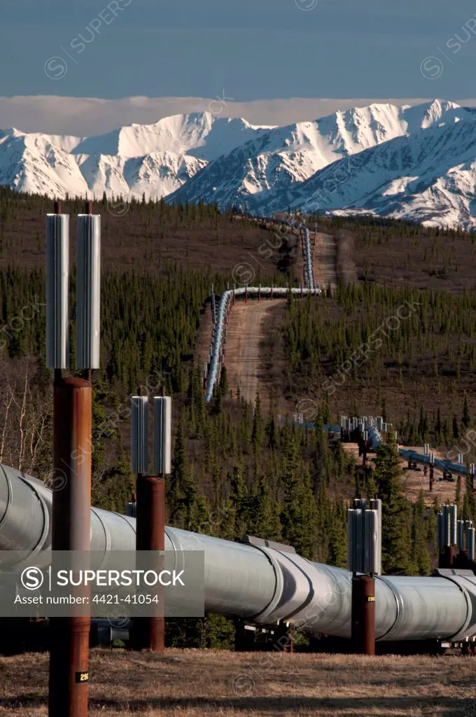 Oil pipeline crossing taiga habitat, Alaska Oil Pipeline, near Delta, Alaska, U.S.A., may