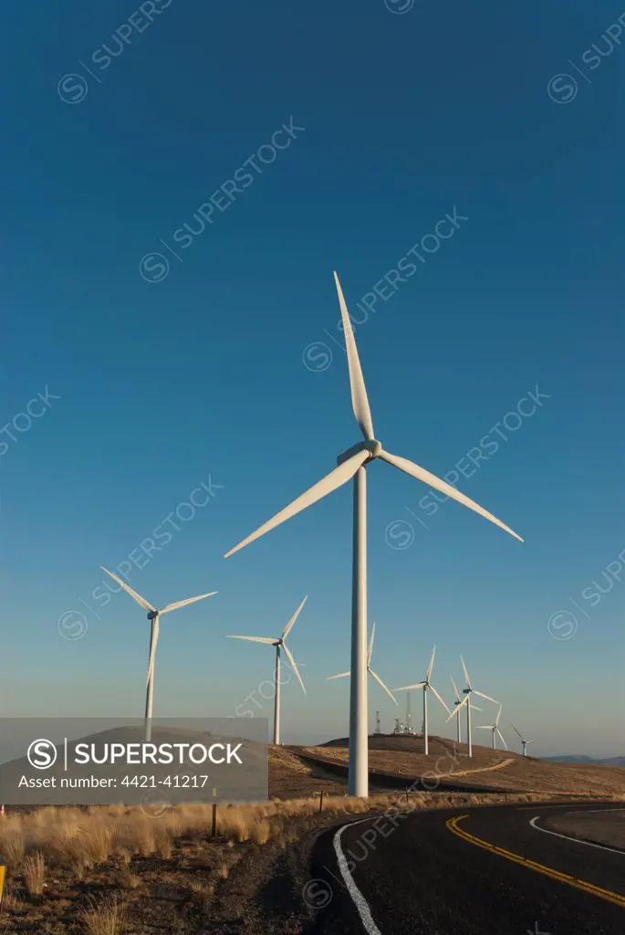 Wind turbines beside road, Wild Horse Wind Facility, Vantage, Washington, U.S.A., october