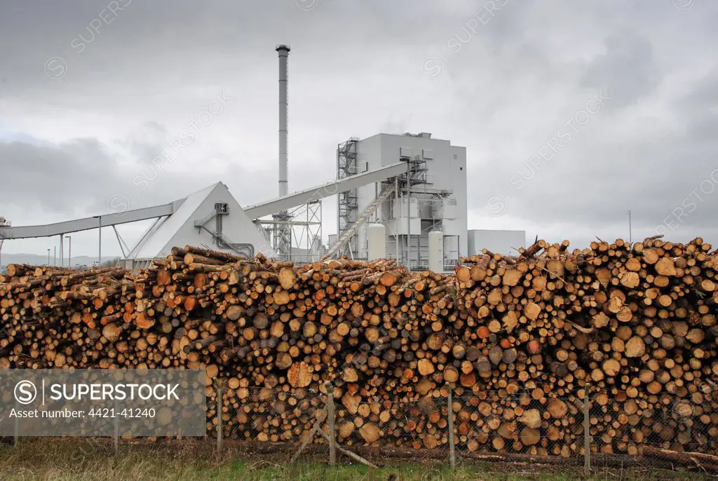 Biomass powerstation with stack of timber, largest biomass plant in Scotland, Steven's Croft Biomass Power Station, Steven's Croft, Lockerbie, Dumfries and Galloway, Scotland, march