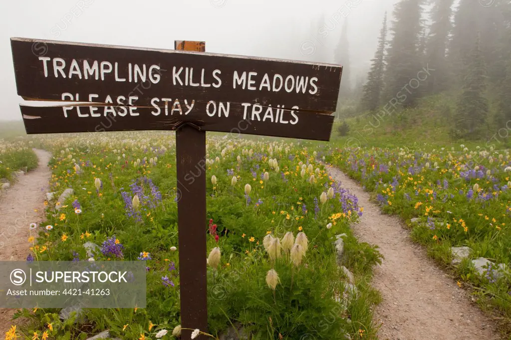 'Trampling Kills Meadows, Please Stay on Trails' sign, flowers in mist, around Tipsoo Lake, Chinook Pass, Mount Rainier N.P., Washington, U.S.A.