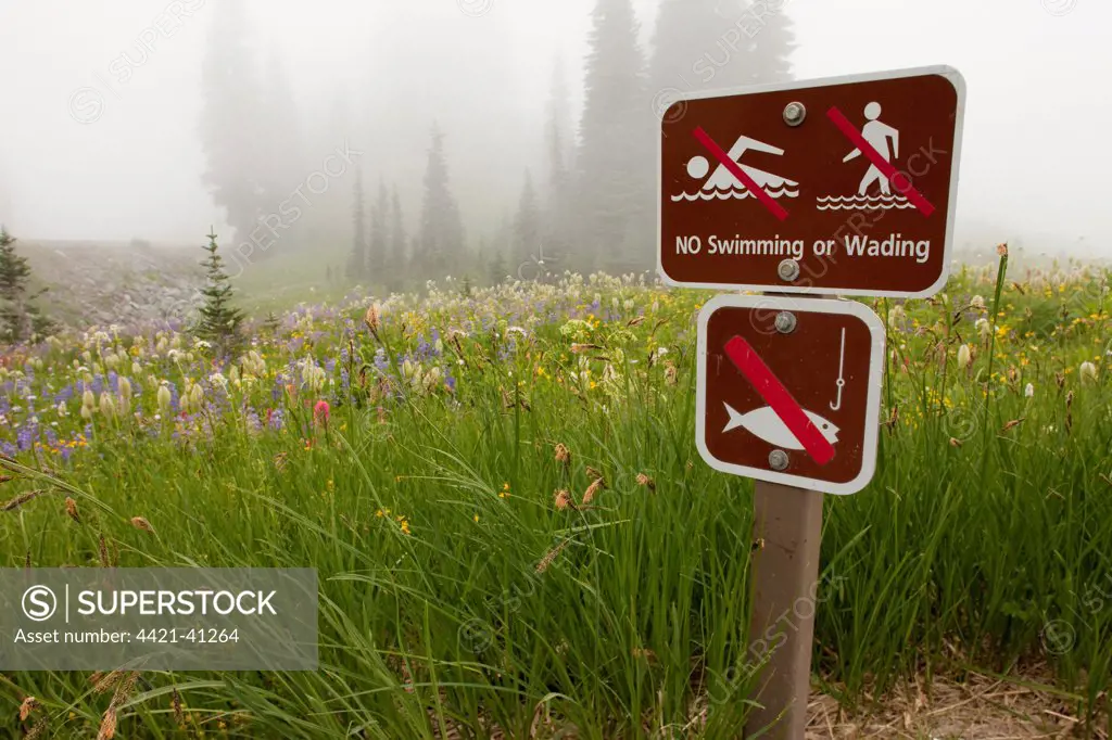 'No Swimming or Wading' and 'No Fishing' signs, flowers in mist, around Tipsoo Lake, Chinook Pass, Mount Rainier N.P., Washington, U.S.A.