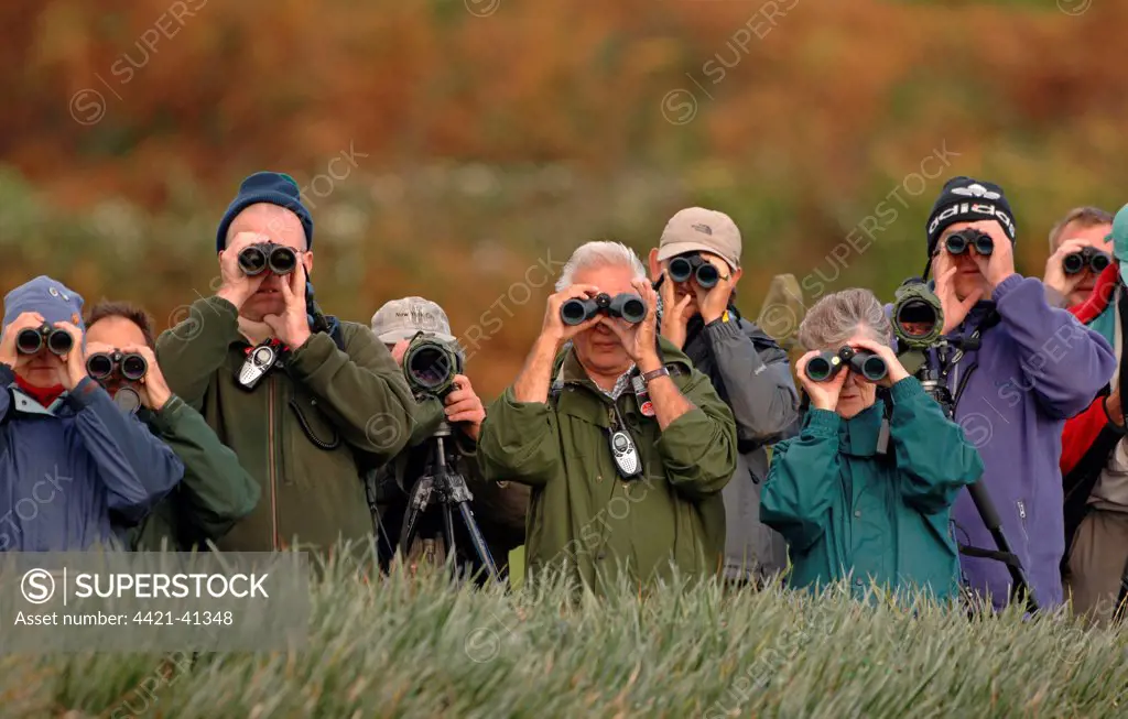 Birdwatchers, crowd of 'twitchers' watching vagrant bird, England