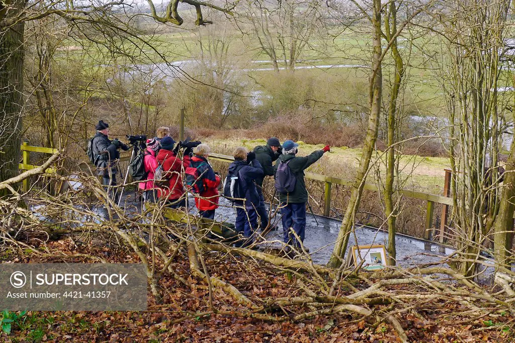 Group of birdwatchers with binoculars and telescopes, Jupp's View, Pulborough Brooks, RSPB Reserve, West Sussex, England, february