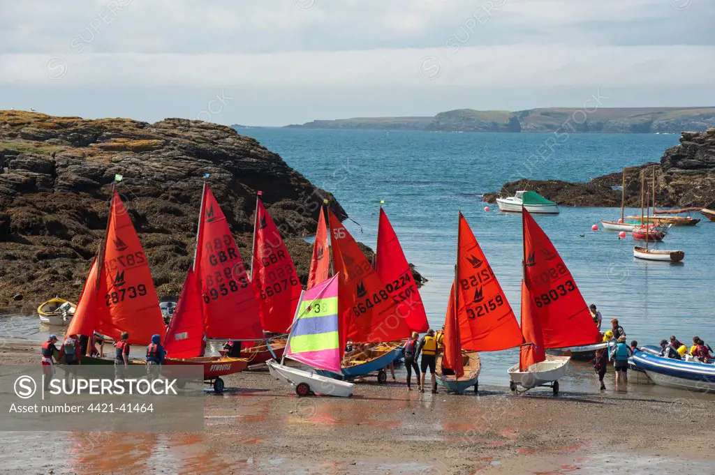 Dingys getting ready for sailing, Porth Diana, Trearddur Bay, Anglesey, Wales, august