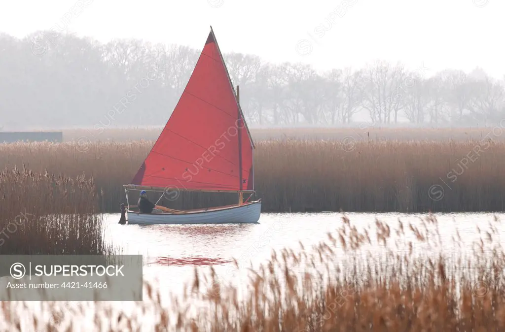 Sailing boat on open water beside reedbed, Hickling Broad, River Thurne, The Broads N.P., Norfolk, England, march