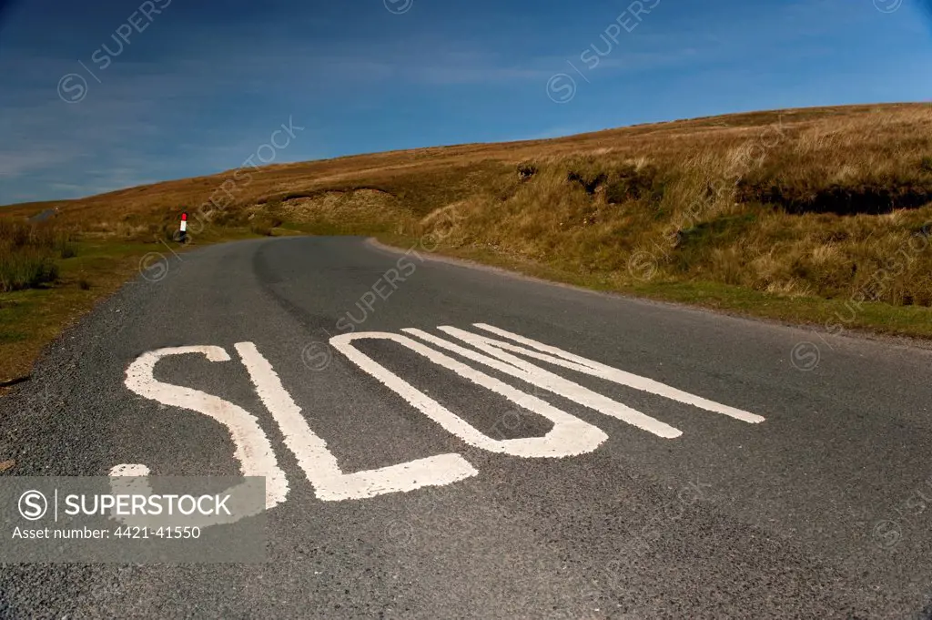'Slow' marking on rural road, North Yorkshire, England