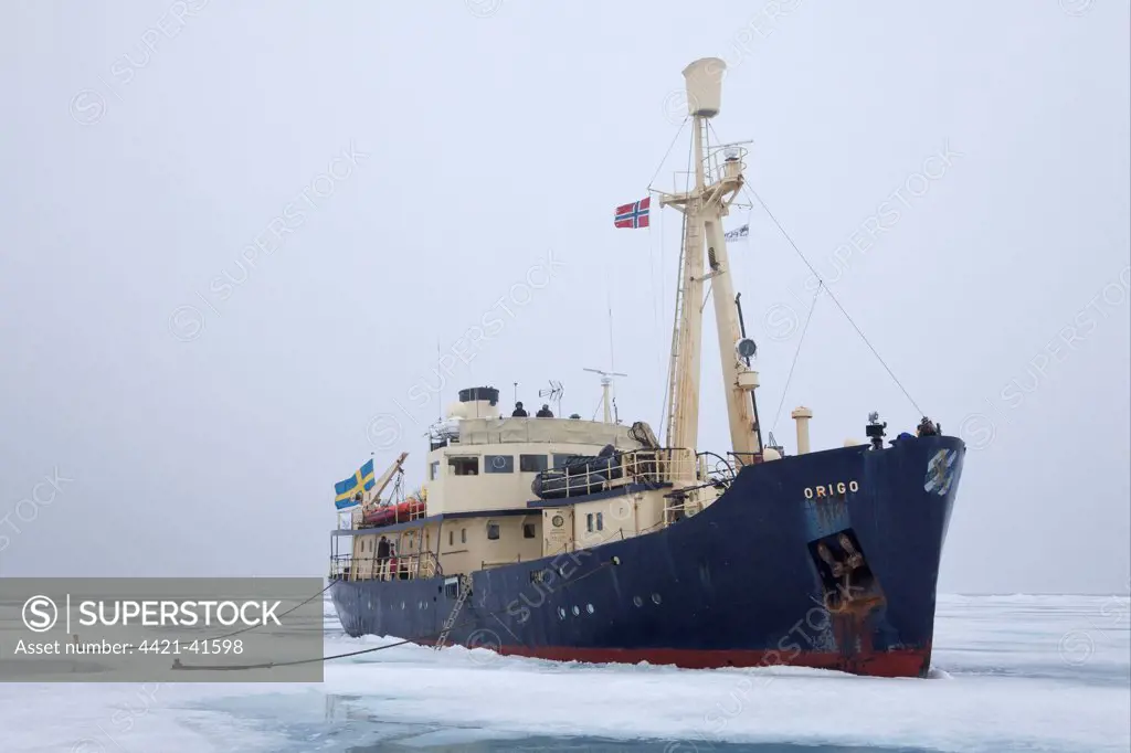 'Origo' icebreaker moored in pack ice, Arctic Sea, Svalbard, september