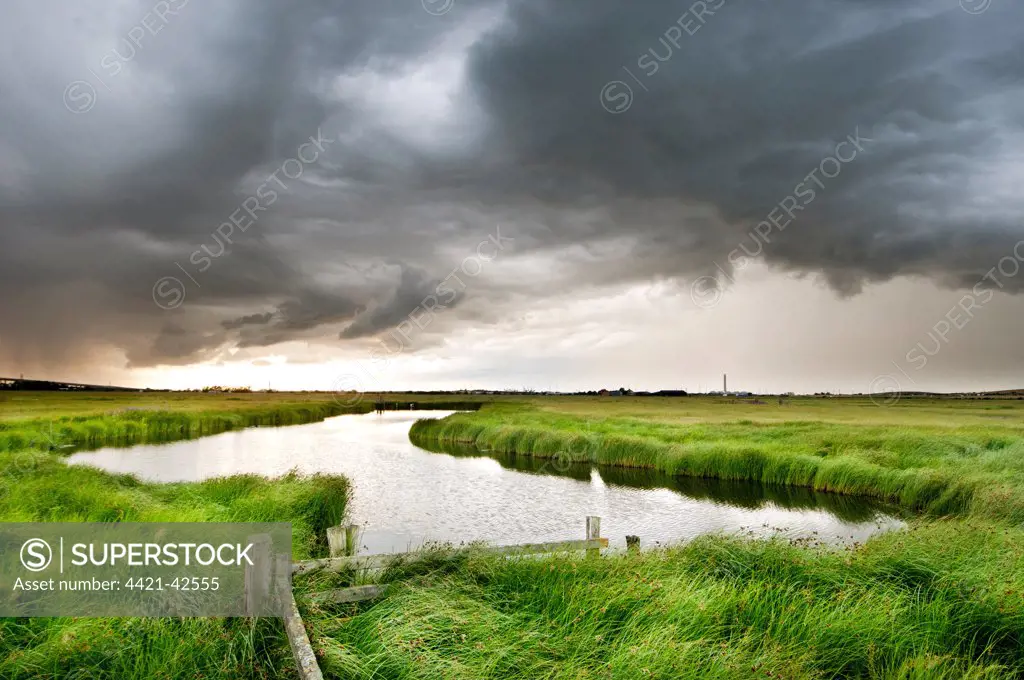 Stormclouds over pool in coastal grazing marsh habitat, Elmley Marshes National Nature Reserve, Isle of Sheppey, Kent, England, July