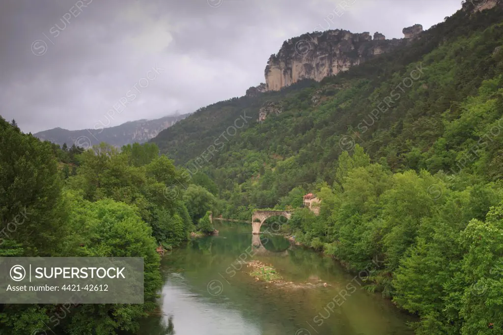 View of Gorges du Tarn with River Tarn and ruined bridge of la Muse, near Le Rozier, Lozere, France, June