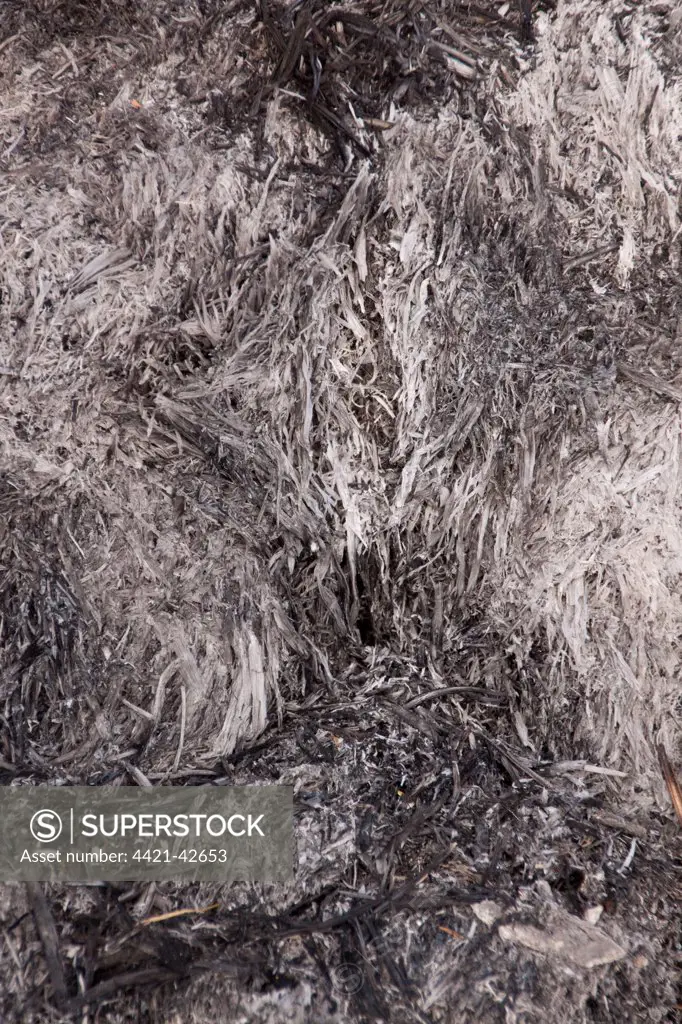Close up of burnt straw after a farm barn fire