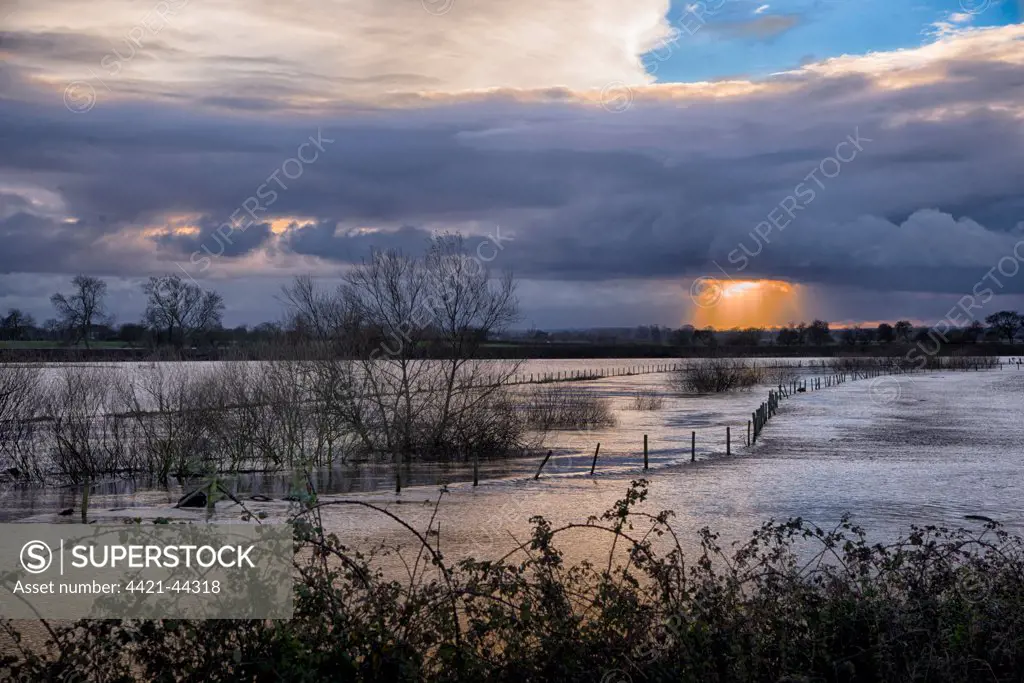 River flooding farmland, River Nidd, Hammerton, North Yorkshire, England, November 2012