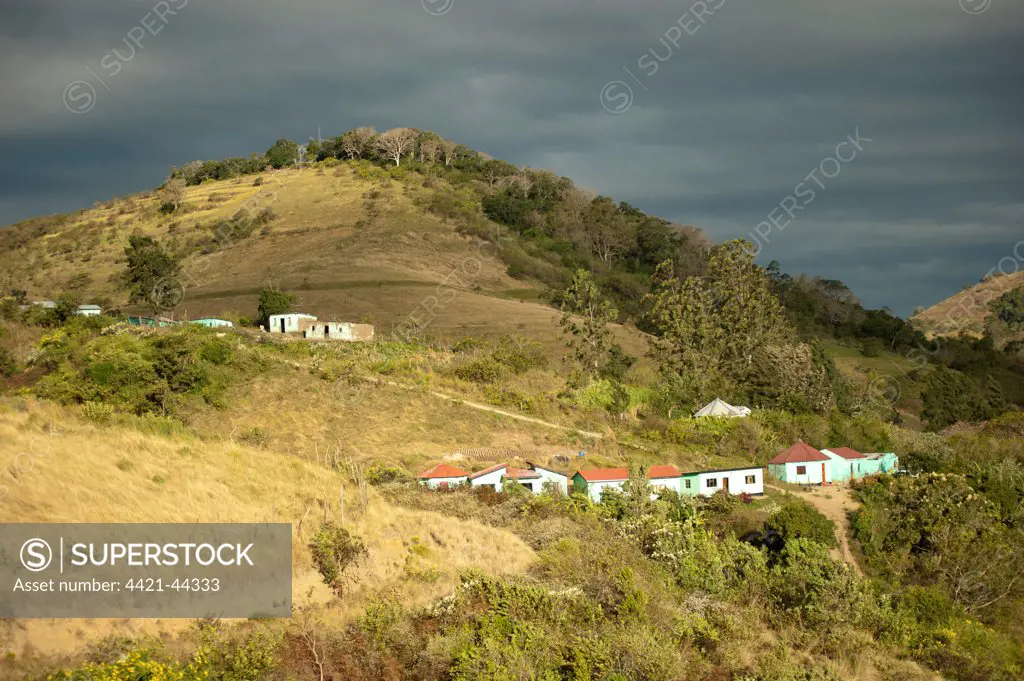 View of houses on hillside, Pondoland, Eastern Cape (Transkei), South Africa, July