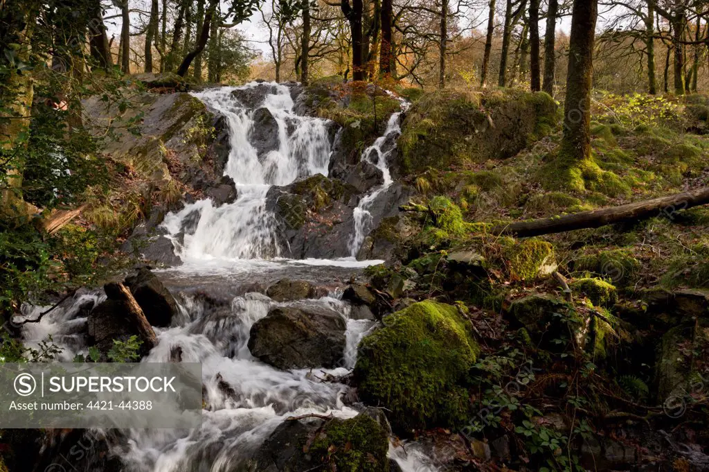 Cascades flowing over rocks in river, Tom Gill Beck, below Tarn Hows, Lake District, Cumbria, England, November