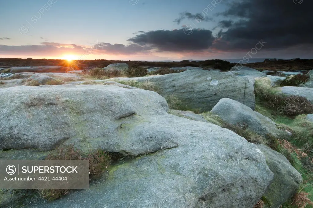 View of gritstone rocks on moorland habitat at sunset, Higger Tor, Dark Peak, Peak District N.P., Derbyshire, England, November