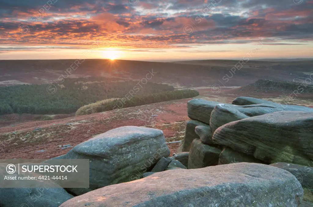 View of rocks and moorland habitat at sunrise, looking from Higger Tor towards Burbage Moor, Peak District N.P., Derbyshire, England, October