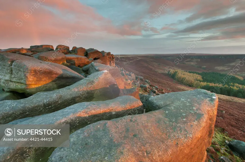 View of rocks and moorland habitat at sunrise, looking from Higger Tor towards Burbage Moor, Peak District N.P., Derbyshire, England, October