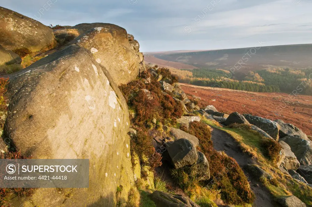 View of rocks and moorland habitat at sunrise, looking from Higger Tor towards Cowper Stone, Peak District N.P., Derbyshire, England, October