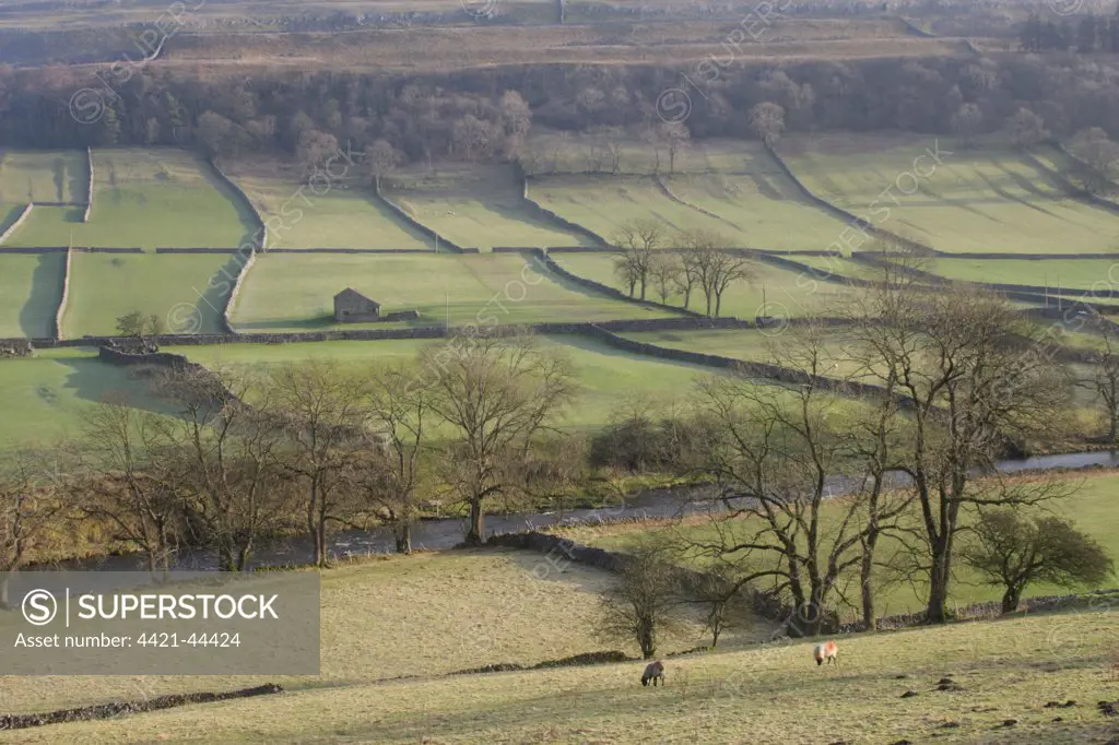 View of river, stone building, drystone walls, bare trees and hillside, River Wharfe, Kettlewell, Wharfedale, Yorkshire Dales N.P., North Yorkshire, England, January