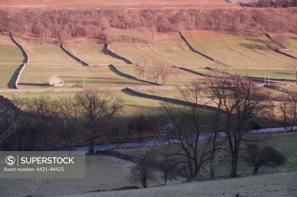 View of river, stone building, drystone walls, bare trees and hillside in evening light, River Wharfe, Kettlewell, Wharfedale, Yorkshire Dales N.P., North Yorkshire, England, January