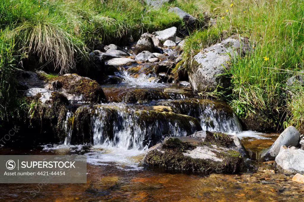 Cascades on small mountain burn, Allt na Croite, tributary of River Findhorn, Findhorn Valley, Inverness-shire, Highlands, Scotland, August