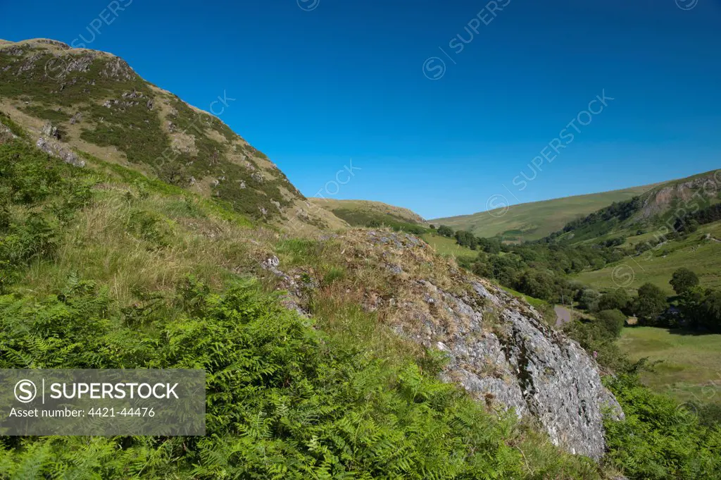 Upland habitat with hills covered in bracken, Elan Valley, Powys, Wales, July