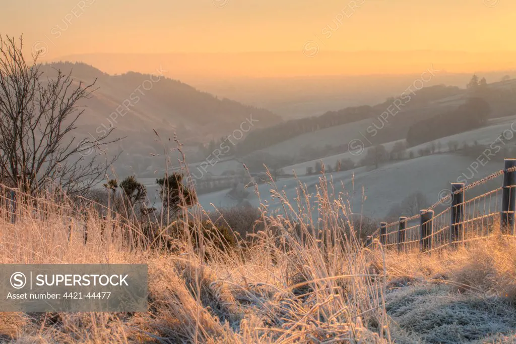 View of valley with pre-dawn frost, with sun rising on far hills, Upper Severn (Hafren) Valley, near Llanidloes, Powys, Wales, December