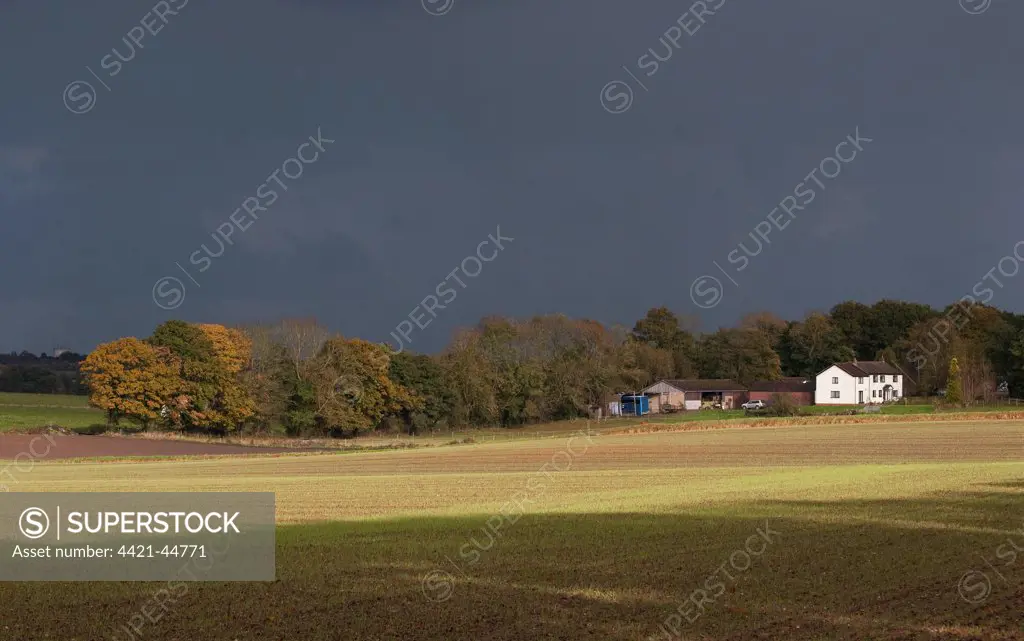 Stormclouds over arable farmland and farmhouse, Marsham, Norfolk, England, November