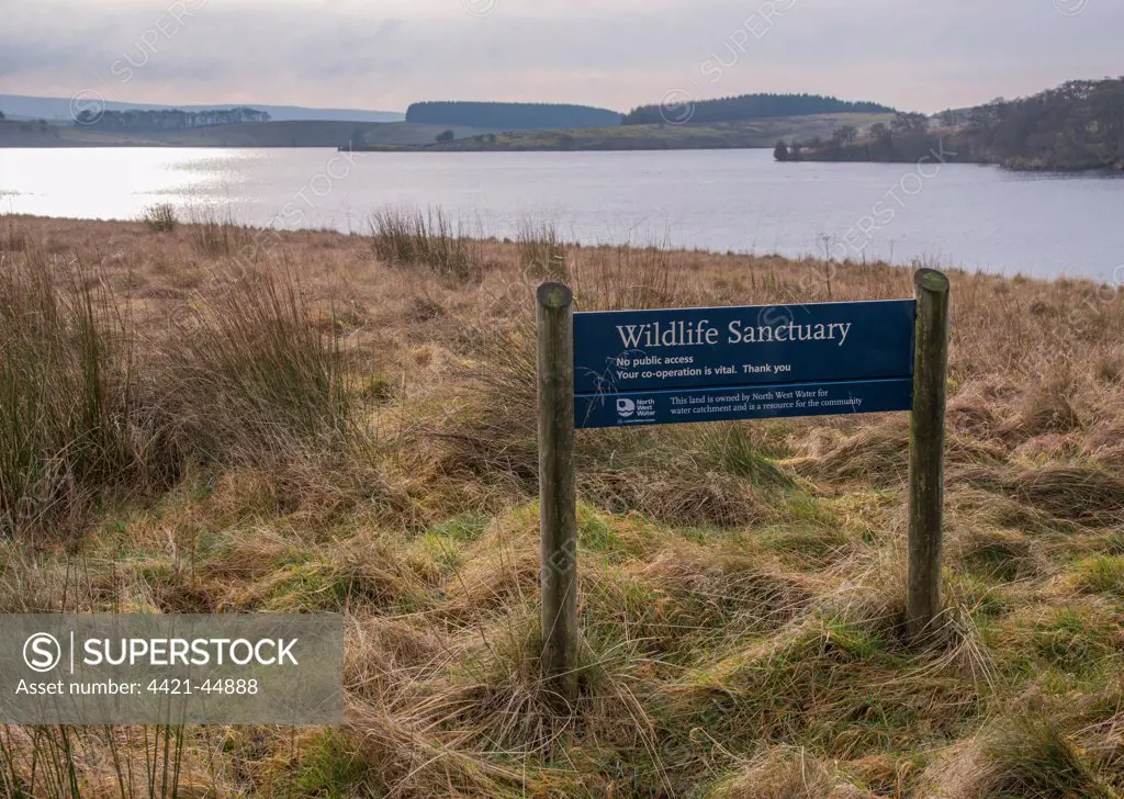 'Wildlife Sanctuary' sign at edge of reservoir, Stocks Reservoir, Gisburn Forest, Forest of Bowland, Lancashire, England, January