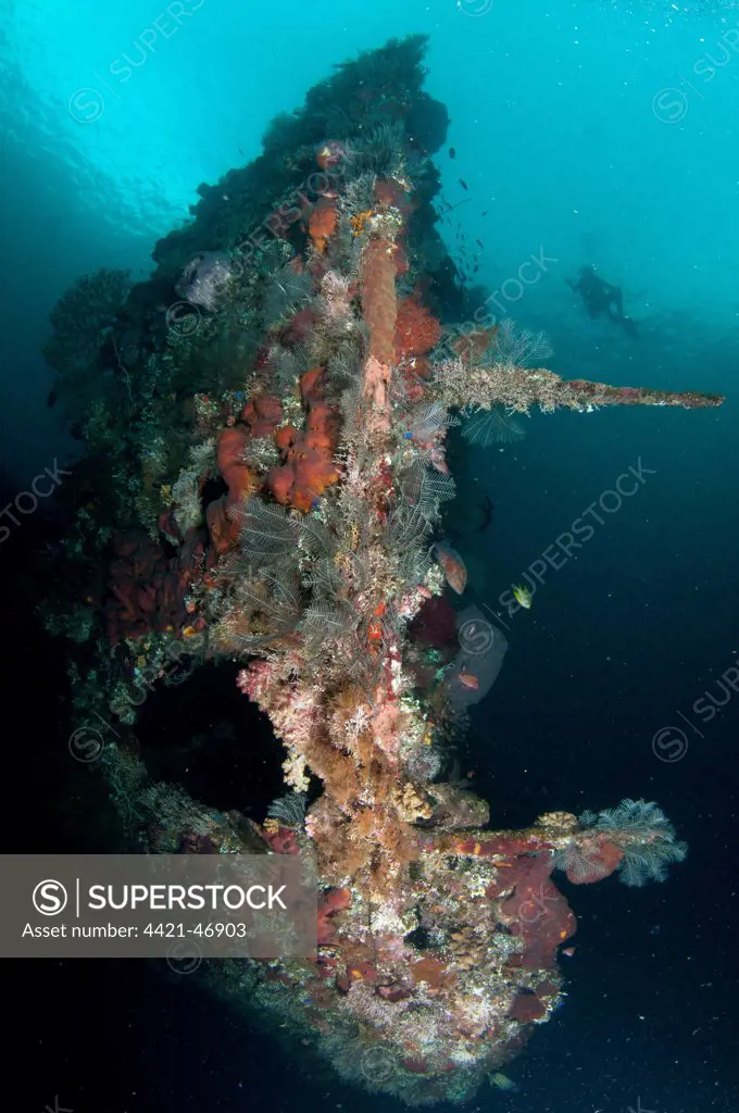 Diver swimming near coral encrusted shipwreck, USAT Liberty (US Army transport ship torpedoed during WWII), Tulamben, Seraya, Bali, Lesser Sunda Islands, Indonesia, April
