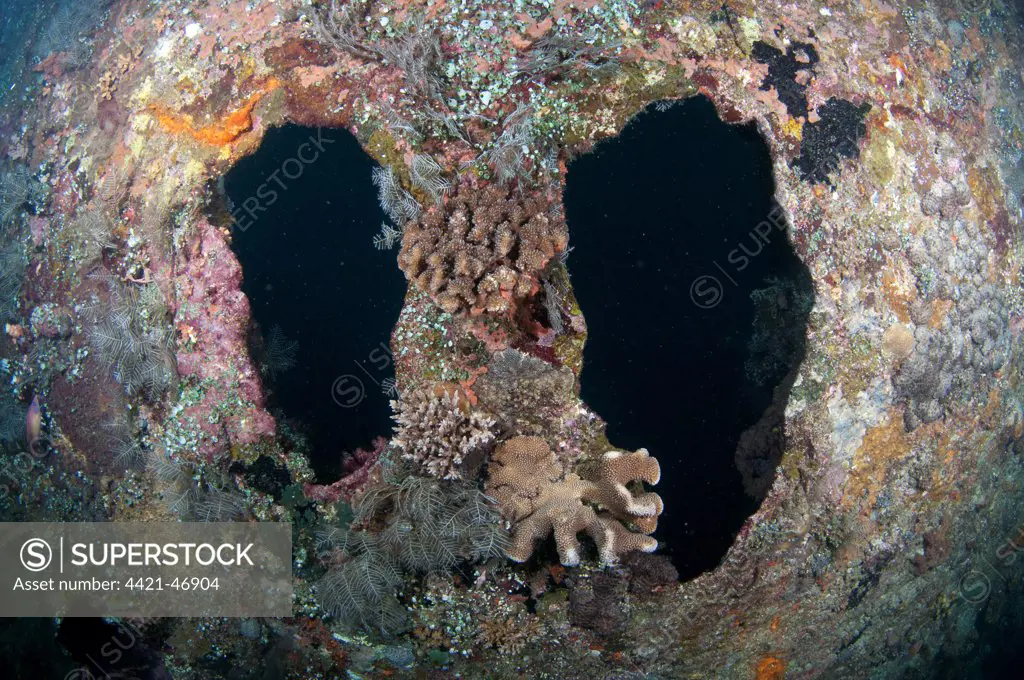 Holes in coral encrusted shipwreck, USAT Liberty (US Army transport ship torpedoed during WWII), Tulamben, Seraya, Bali, Lesser Sunda Islands, Indonesia, April