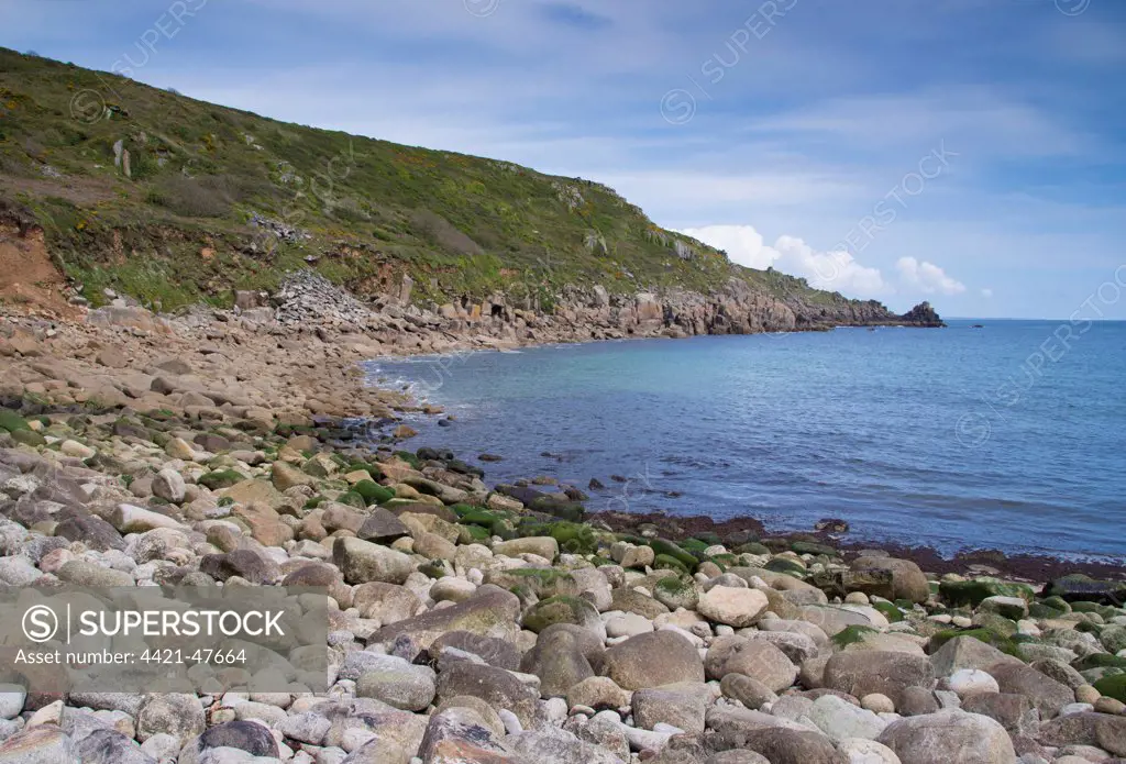 View of pebble beach and coastline, Lamorna Cove, Cornwall, England, May