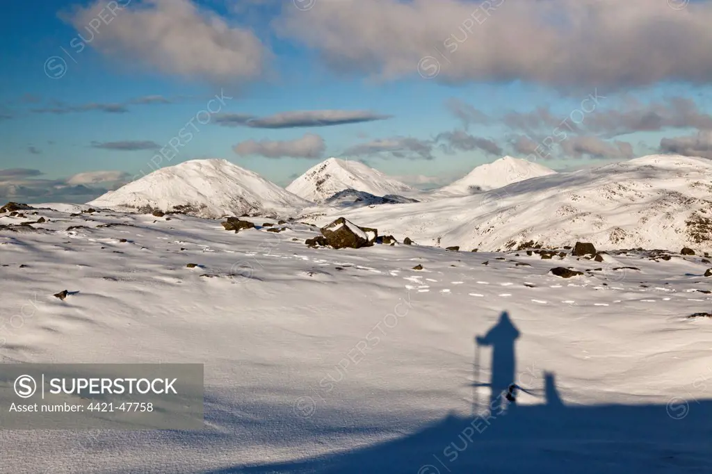 Shadow of man and dog looking towards snow covered mountain peaks, viewed from Dubh Bheinn, Paps of Jura, Isle of Jura, Inner Hebrides, Scotland